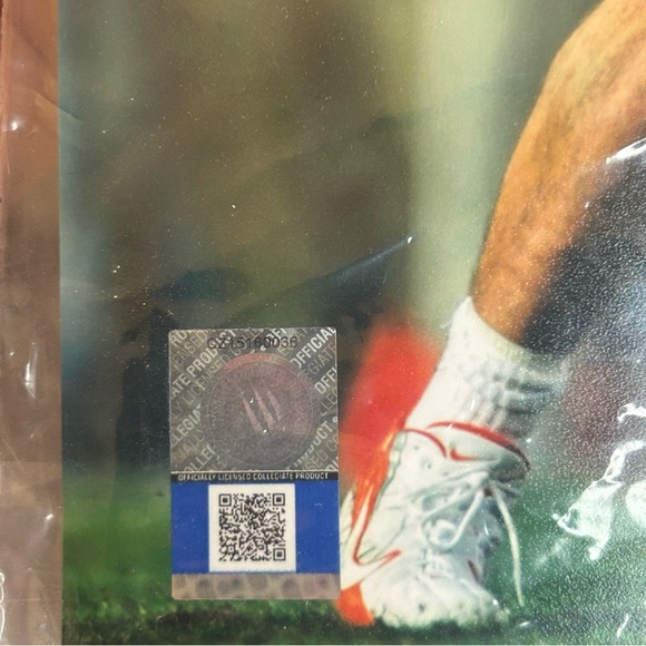 Tim Tebow Glossy Official Collegiate Print - Picture 2 of 3